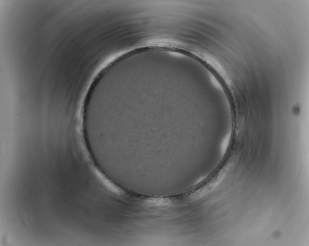 X0000103141037200809192000