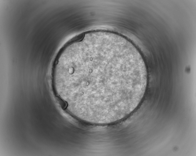 X0000103141038200809192000