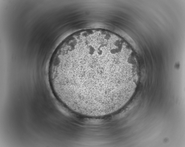 X0000103141039200809192000