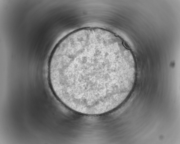 X0000103141040200809192000