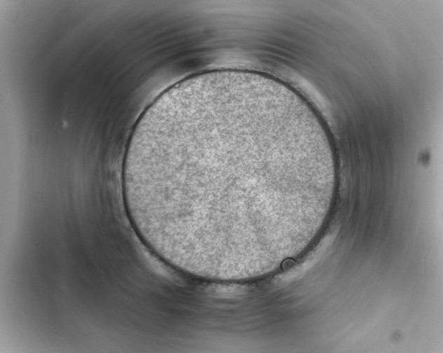 X0000103141041200809192000