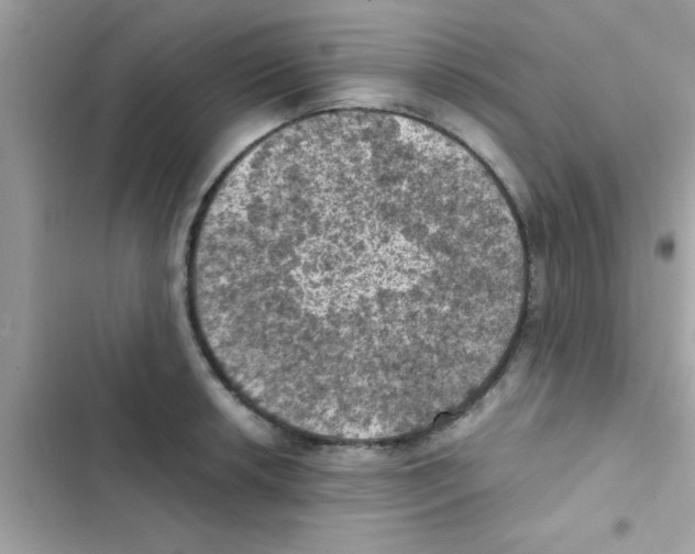 X0000103141042200809192000