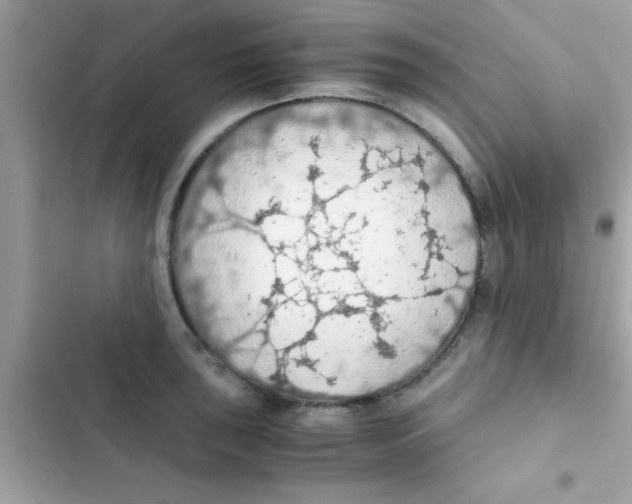 X0000103141043200809192000