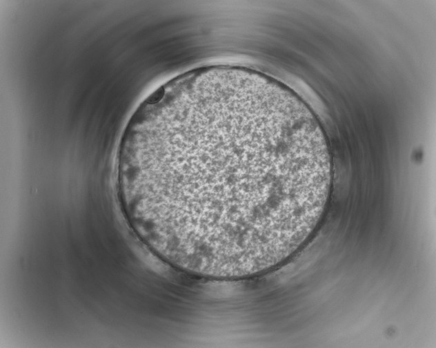 X0000103141044200809192000