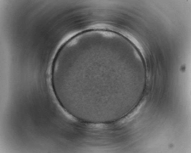 X0000103141045200809192000