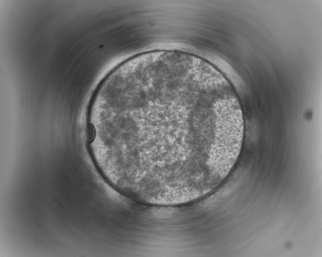 X0000103141046200809192000