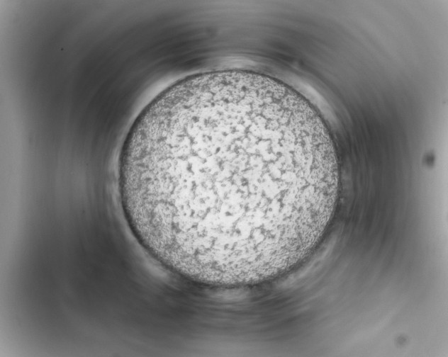 X0000103141047200809192000