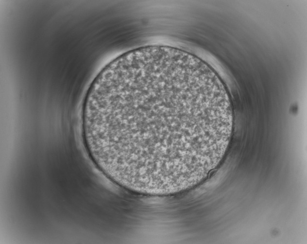 X0000103141048200809192000