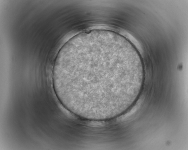 X0000103141049200809192000