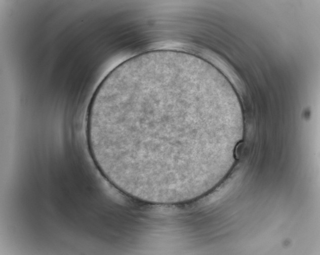 X0000103141050200809192000