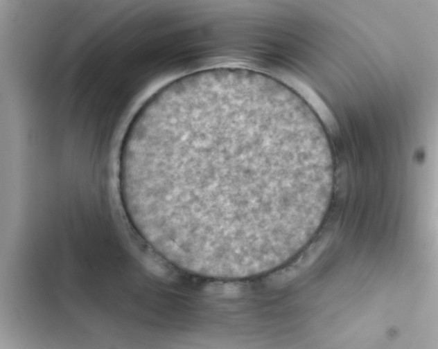 X0000103141051200809192001