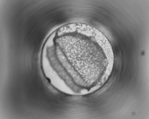 X0000103141052200809192001