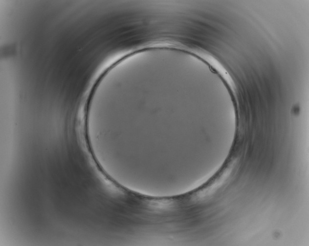 X0000103141053200809192001