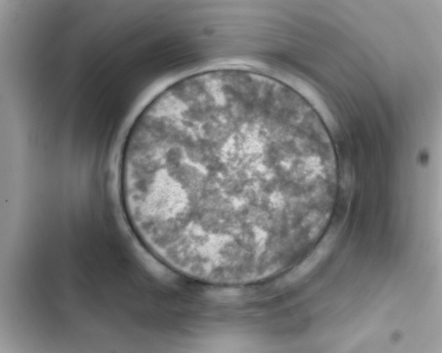 X0000103141054200809192001