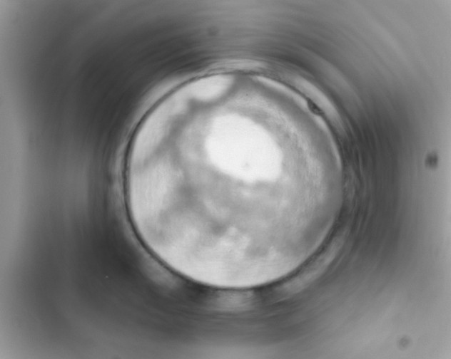 X0000103141055200809192001