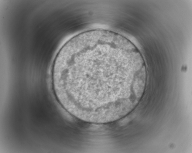 X0000103141056200809192001