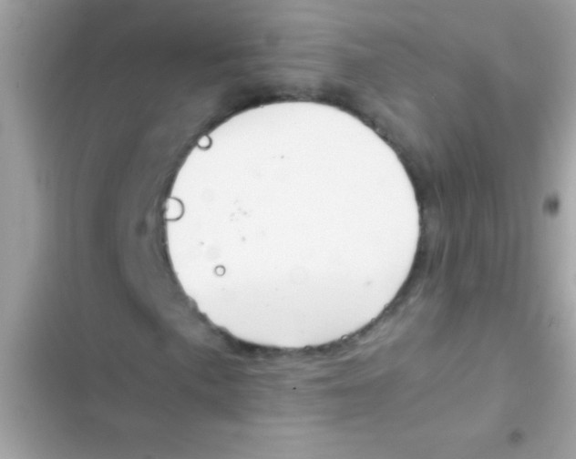 X0000103141057200809192000