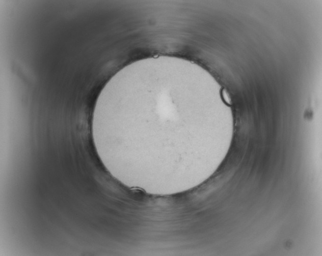 X0000103141058200809192000