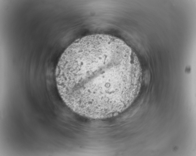 X0000103141059200809192000