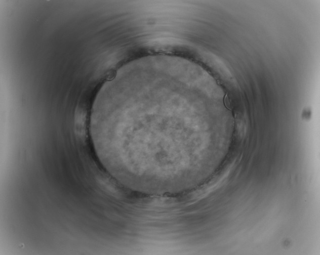 X0000103141060200809192000