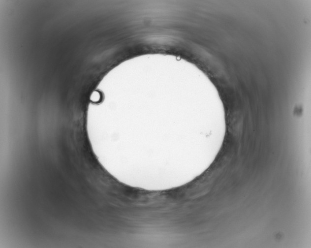 X0000103141061200809192000