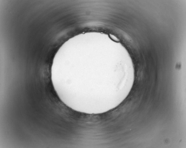 X0000103141062200809192000