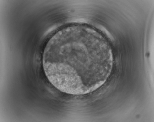 X0000103141064200809192000