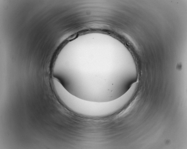 X0000103141065200809192000