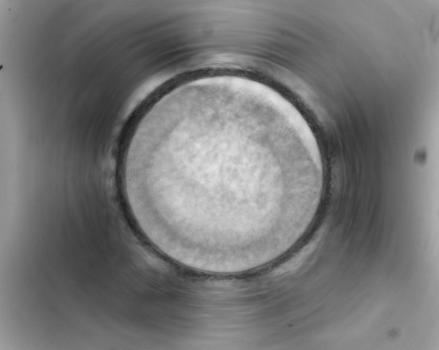 X0000103141066200809192000