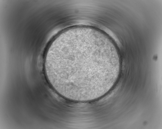 X0000103141067200809192000