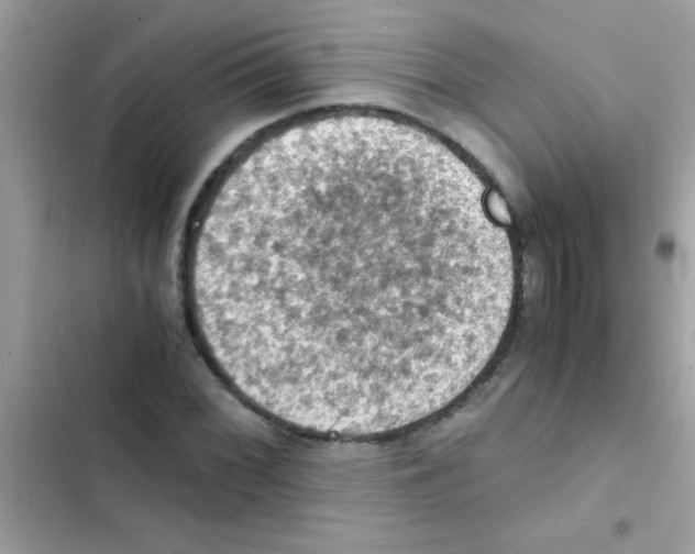 X0000103141068200809192000