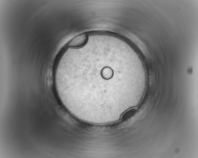 X0000103141069200809192000