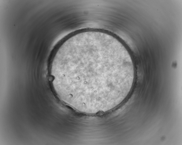 X0000103141070200809192000