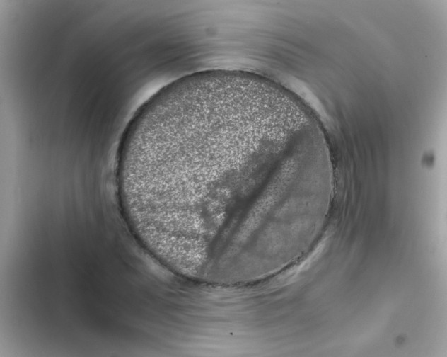 X0000103141071200809192000