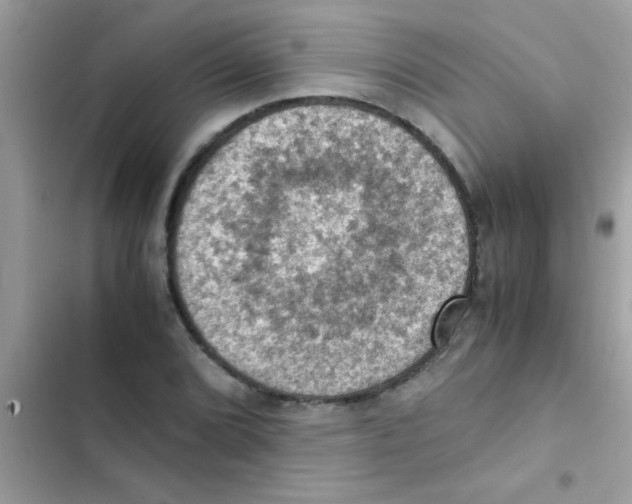 X0000103141072200809191959