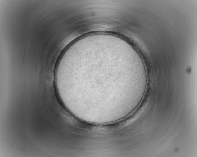 X0000103141073200809191959