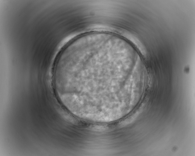 X0000103141074200809191959