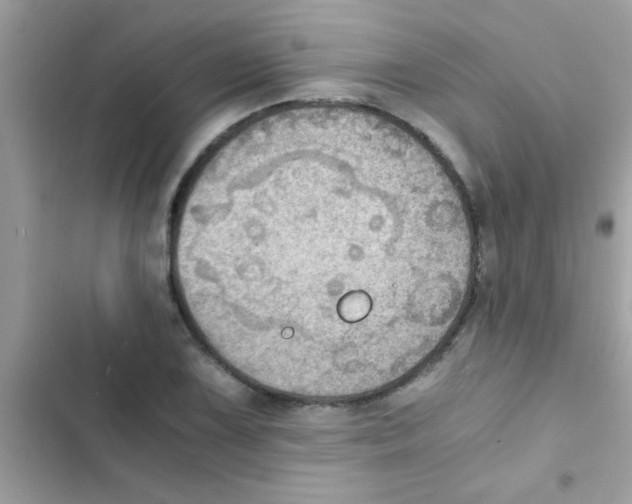 X0000103141075200809191959