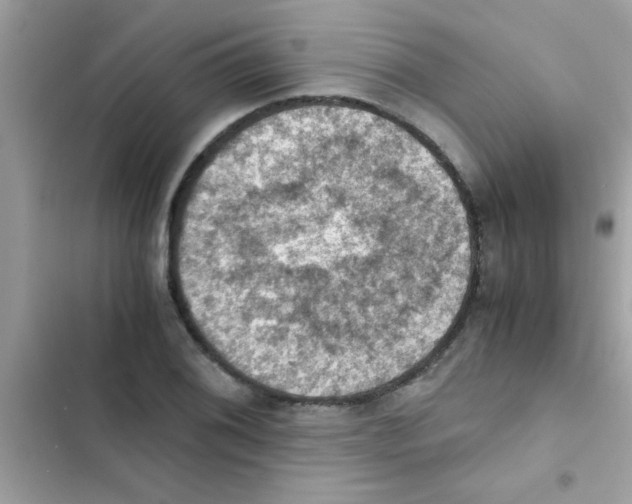 X0000103141076200809191959