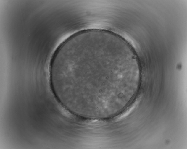 X0000103141077200809191959