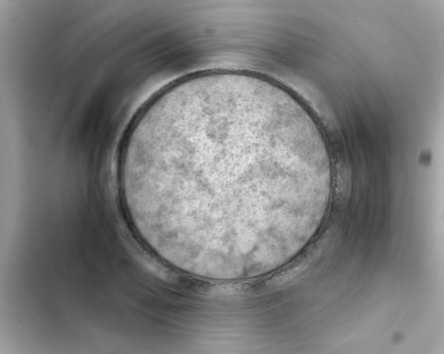 X0000103141078200809191959