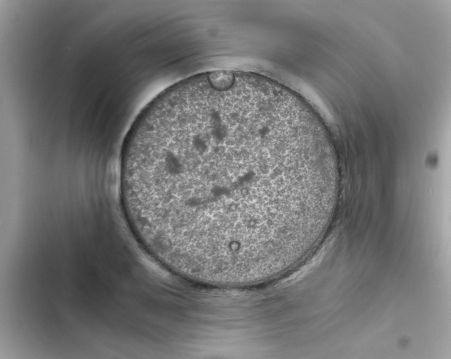 X0000103141079200809191959