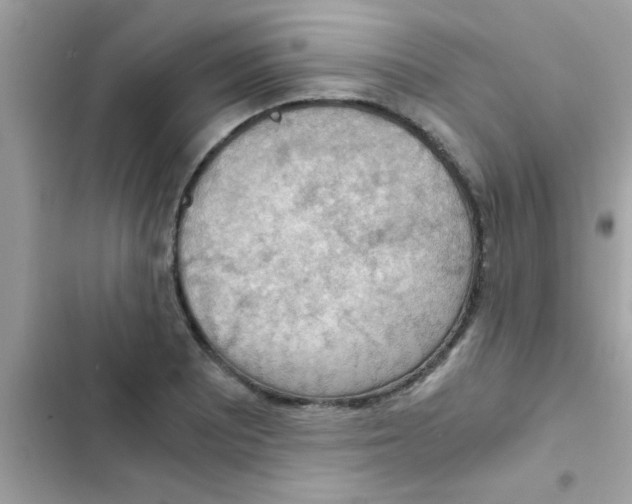 X0000103141081200809191959