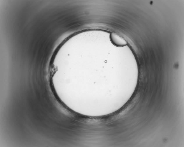 X0000103141082200809191959