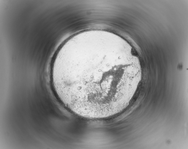 X0000103141083200809191959