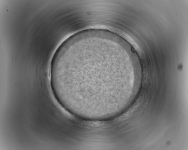 X0000103141084200809191959