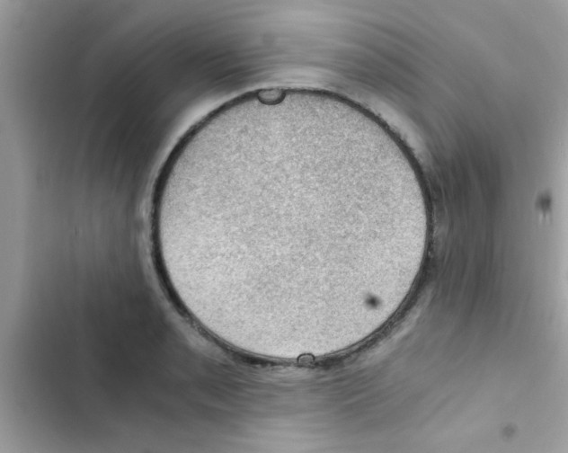 X0000103141085200809191959