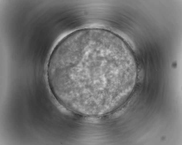 X0000103141086200809191959