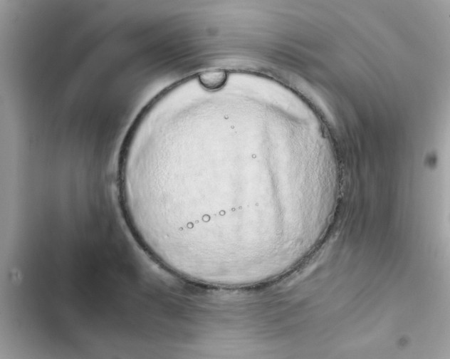 X0000103141087200809191959