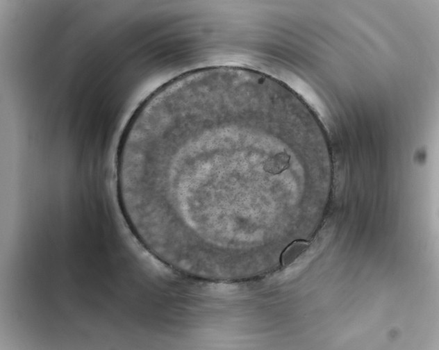 X0000103141088200809191959